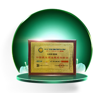 中国最佳商业模式创新奖